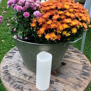 Meet your Posher, Rae-lyn